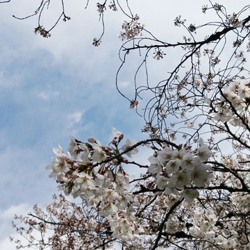 20190419173207689.jpg